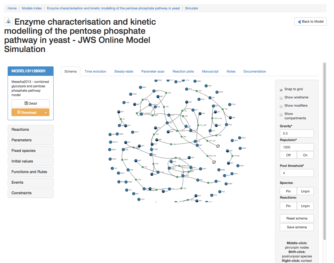 model in jws